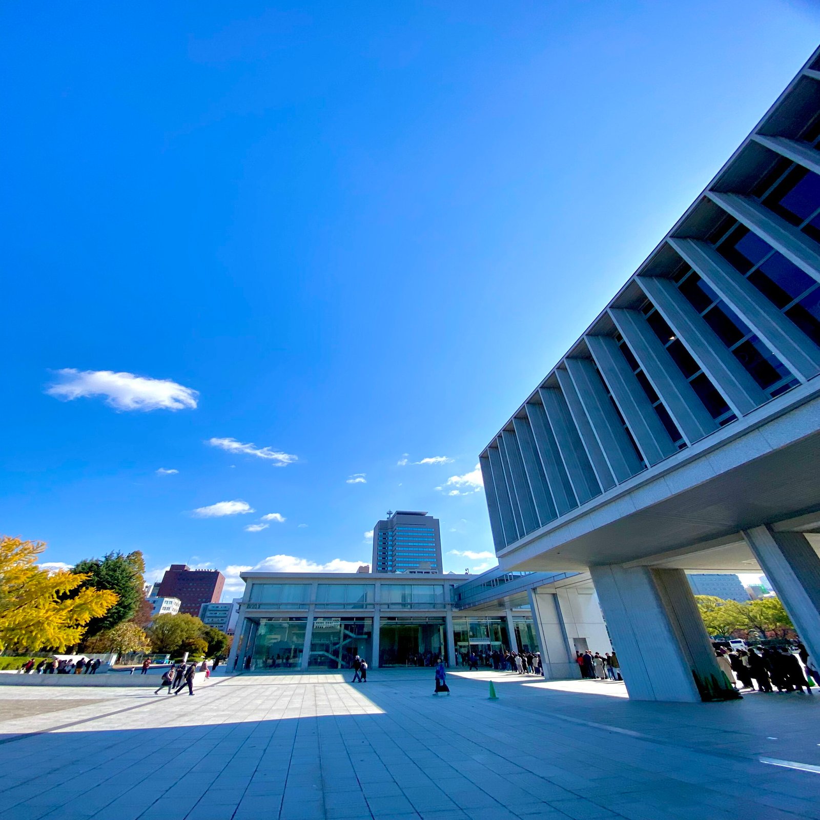 Hiroshima Peace Memorial Museum Ticket
