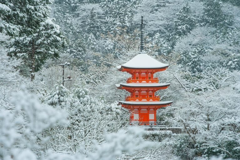 Meiji Jingu forest shrine showing Shinto harmony with nature