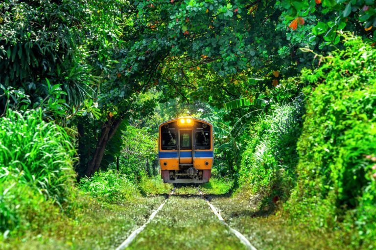 The Death Railway in Kanchanaburi surrounded by nature