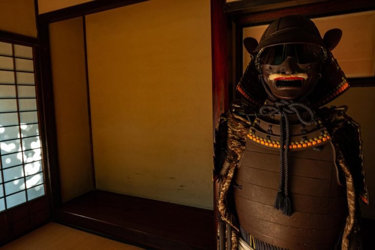 Forest landscape reflecting samurai philosophy in Princess Mononoke