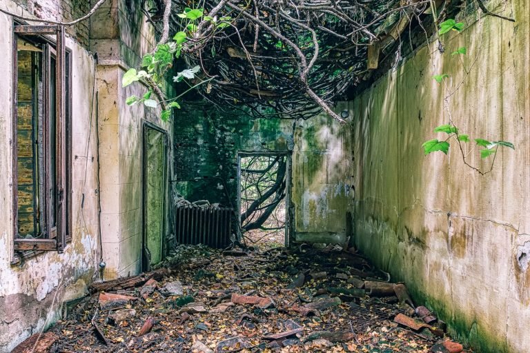 Abandoned war sites reclaimed by nature in Asia