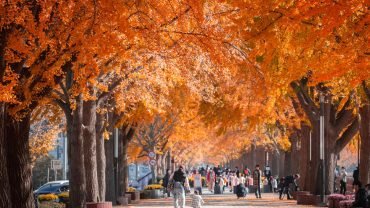 Why Asia Remembers War Through Places, Not Dates