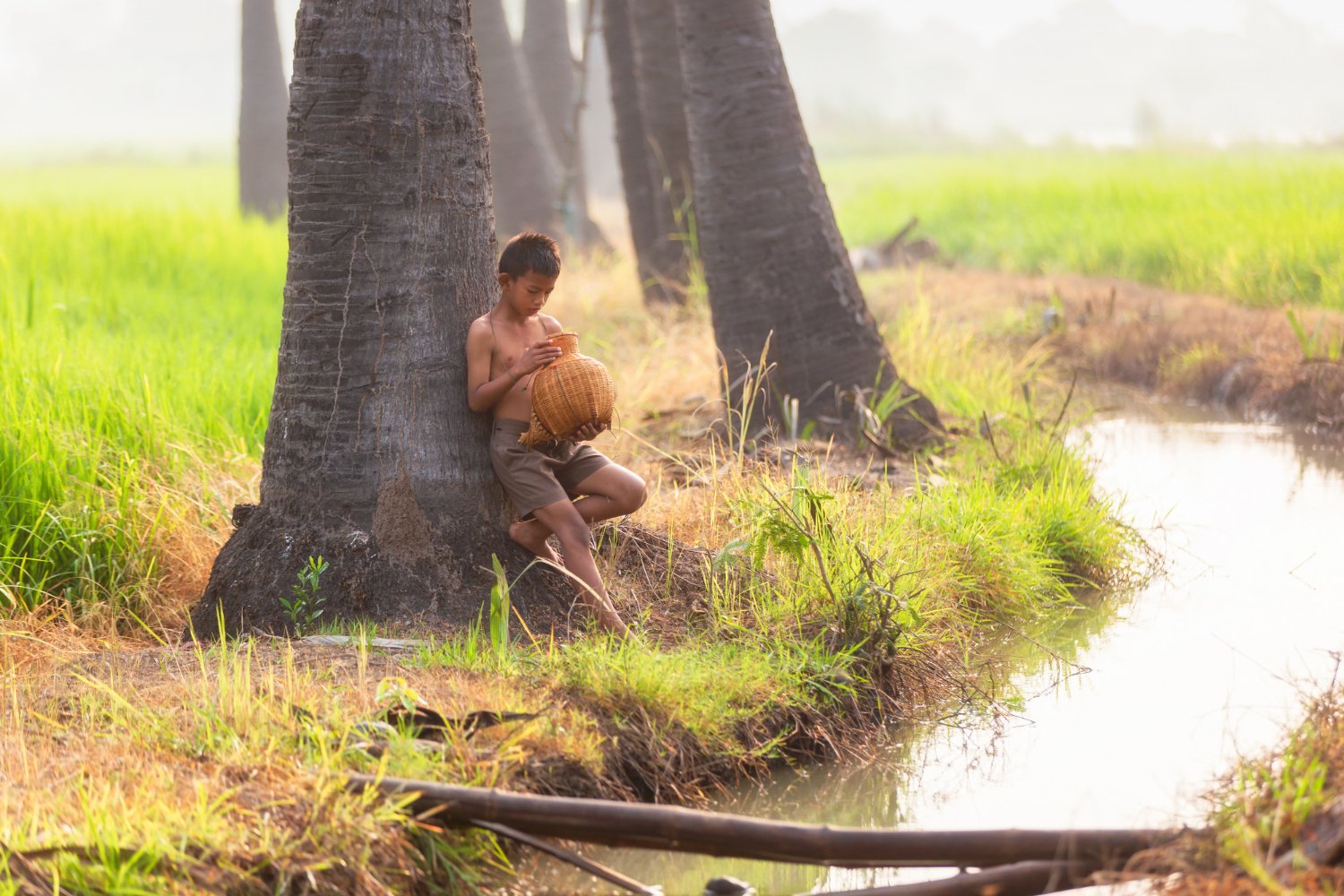 Rural Cambodia reflecting history of conflict and survival