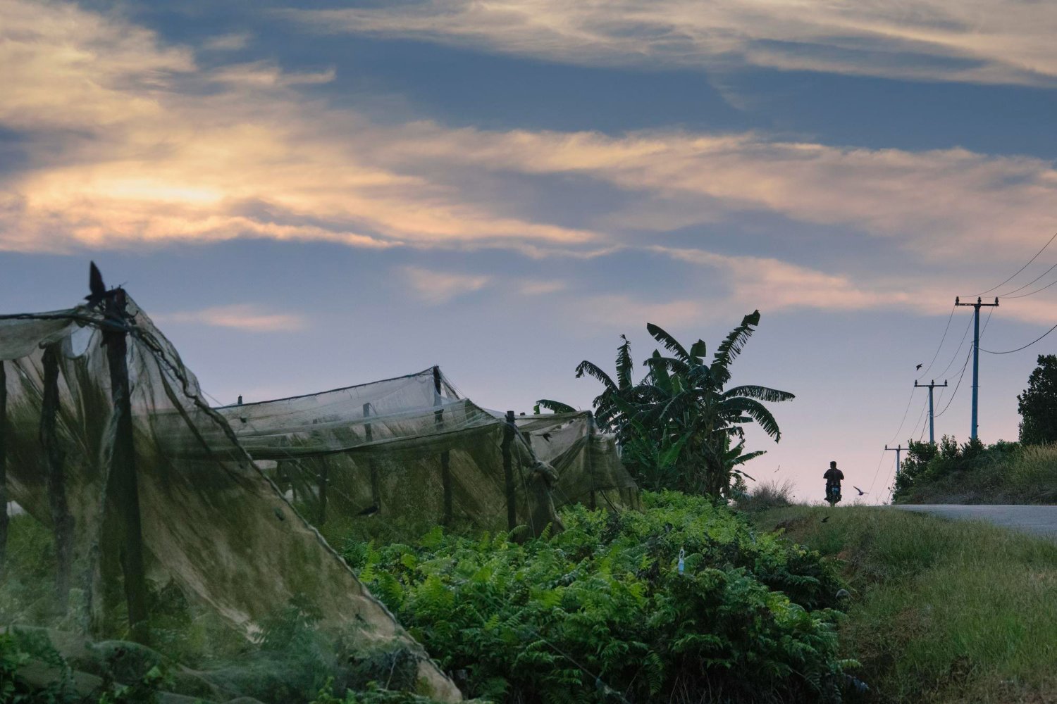 Rural landscape near Vientiane shaped by war history